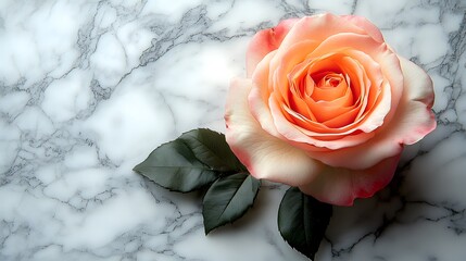 Valentine's Day card design featuring a single rose and elegant lettering on a marble background. Luxurious, sweet, romantic&mdash;ideal for greeting cards or Valentine's Day promotional posters.