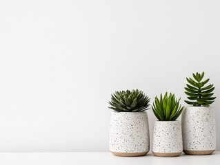 Zen desk plant decor for clean workspaces minimalist design indoor environment aesthetic viewpoint