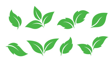 Green leaves vector set icons