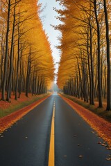 Fototapeta premium trees lining the road in the fall with yellow leaves