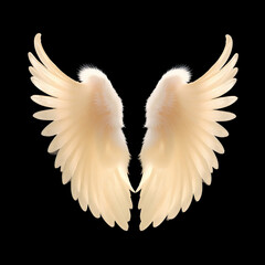 Fototapeta premium Angel Wings Isolated on Transparent Background