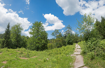 hiking trail to Hochkreuth alp, above tourist resort Bayrischzell, upper bavaria