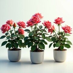 A beautiful, delicate flower with vibrant petals and a sweet fragrance