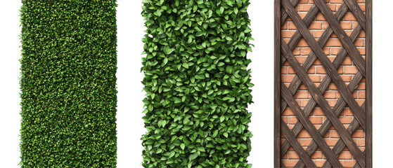 Lush green wall panels with interlocking designs and textured backgrounds