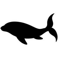 Fototapeta premium Beluga whale silhouette illustration art style on transparent background