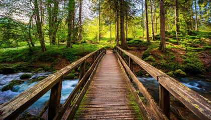 Obraz premium A tranquil wooden bridge spans a bubbling stream in a vibrant forest, alive with spring colors.