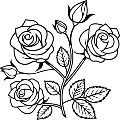 Elegant Vector illustration Line Art of Rose Flowers with Leaves and Buds in Black and White