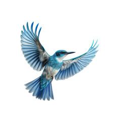 Obraz premium A Blue Bird Takes Flight: An illustration of a vibrant blue bird soaring gracefully, its wings spread wide, showcasing its delicate feathers and a sense of freedom.