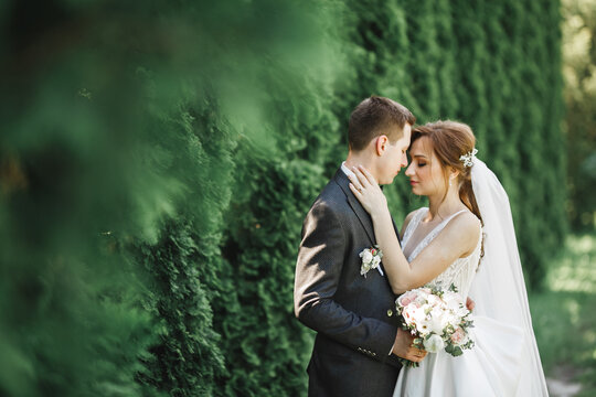 Happy wedding couple charming groom and perfect bride posing in park