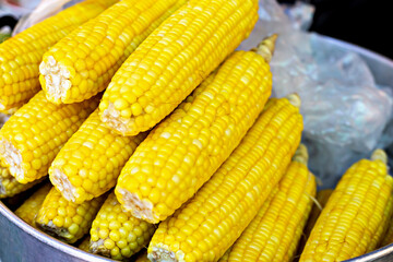 Vibrant and colorful close-up of freshly steamed yellow corn cobs arranged neatly. Perfect depiction of healthy food and agricultural produce, showcasing simplicity and richness of natural produce