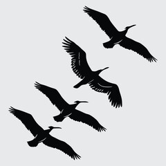 Obraz premium Birds flying image silhouette vector art and illustration