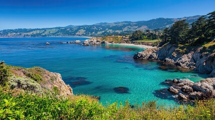 Fototapeta premium California coastal landscape in daylight