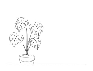 Continuous one line drawing of monstera plant in the pot. Philodendron Monstera plant in single line illustration. Editable stroke.