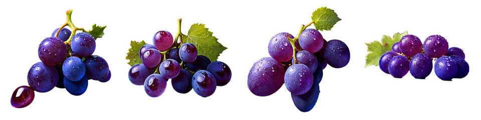 Grape Bunches – Purple and Black Fruit Set – Isolated on White