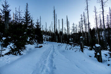 Winterwanderung durch den winterlichen Nationalpark Harz zum höchsten Punkt auf dem Brocken -...