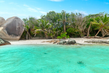 Turquoise water, white sand and palms in a tropical beach