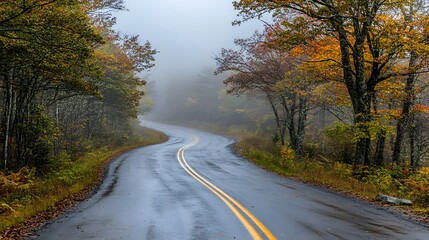 Naklejka premium long empty road in autumn forest