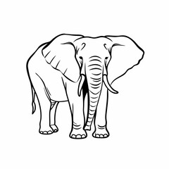 Fototapeta premium elephant illustration