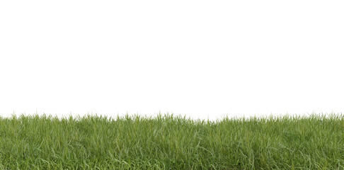 green grass field isolated on transparent background, png
