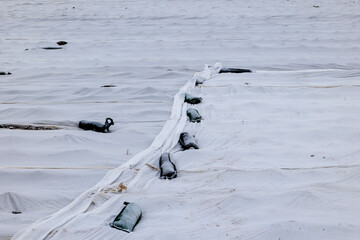 Fields covered with white protective film in winter under white hoar frost and weighed down with sandbags