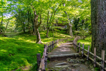A path marked out with bamboo poles winds up a moss-covered hill at Kenroku-en Garden in Kanazawa, Japan
