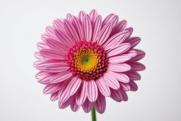 a close up of a water splash with a white background
