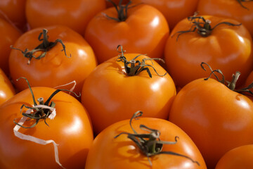 Fresh orange tomatoes. Tomato texture. Yellow tomatoes stacked next to each other in a supermarket for sale.