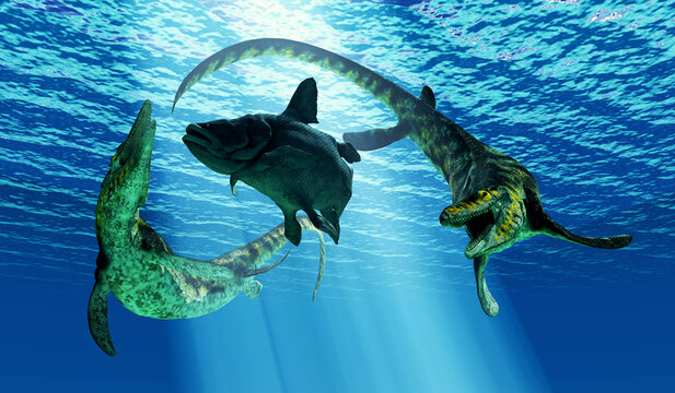 Tylosaurus Reptiles attack Mawsonia Fish - A Mawsonia fish is caught between two Tylosaurus marine reptiles during the Cretaceous Period.
