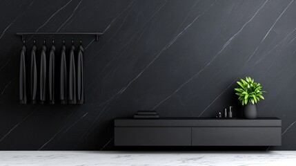 Modern minimalist black wardrobe interior