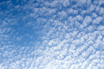 Cirrocumulus clouds against a blue sky