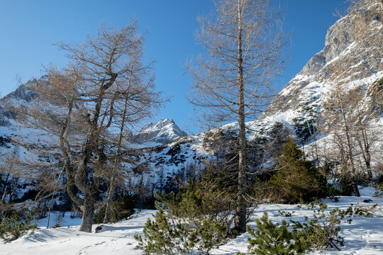 Winterliche Alpenlandschaft am Seebensee
