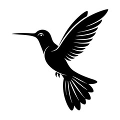 Fototapeta premium Hummingbird simple illustration silhouette set