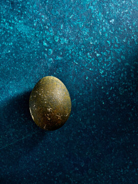 A smooth, dark stone egg is placed against a striking blue background, highlighting its natural texture and shape while casting soft shadows. The overall contrast is visually captivating