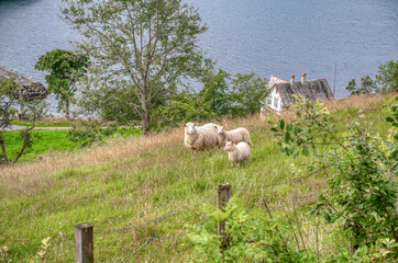 Orskog is a municipality in More og Romsdal county in Vestlandet region, Norway.