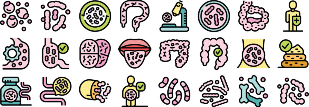 Maintaining good gut flora with probiotics improves digestion, strengthens immunity, and contributes to overall well being