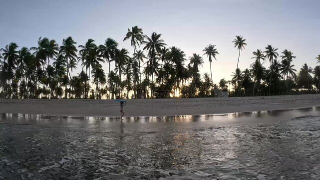 Kid with bodyboard walkin on the beach with coconut trees at sunset 