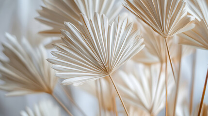 Close-up image of dry delicate palm leaves