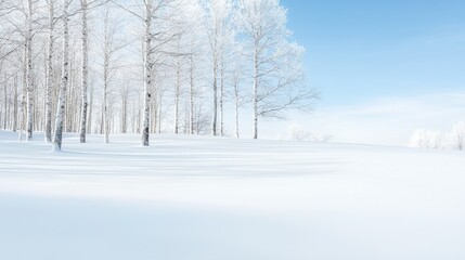 Fototapeta premium Frosty birch trees in snowy landscape, winter day, serene background for nature scenes, calendars