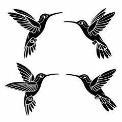 Fototapeta premium Hummingbird simple illustration silhouette set