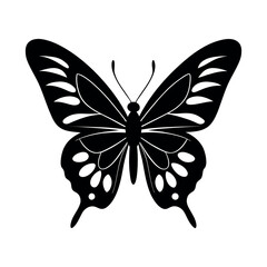 butterfly on white background vector illustration