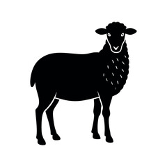 illustration of sheep vector illustration