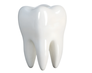 tooth isolated on white background
