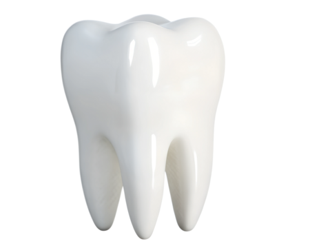 tooth isolated on white background