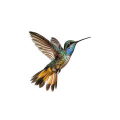 Obraz premium Emerald Hummingbird in Flight: A vibrant hummingbird with iridescent plumage and a long, slender beak hovers mid-air, wings a blur, capturing the essence of nature's agility.