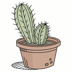 cactus in flowerpot