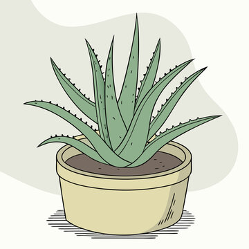 aloe vera plant in pot clip art preview