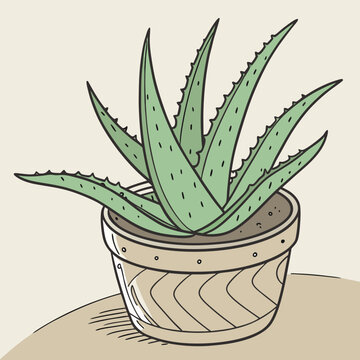 recommend clip art: aloe vera plant
