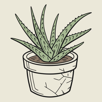 recommend clip art: aloe vera plant in pot