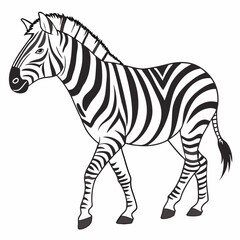 zebra cartoon isolated on white