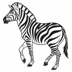 zebra vector illustration